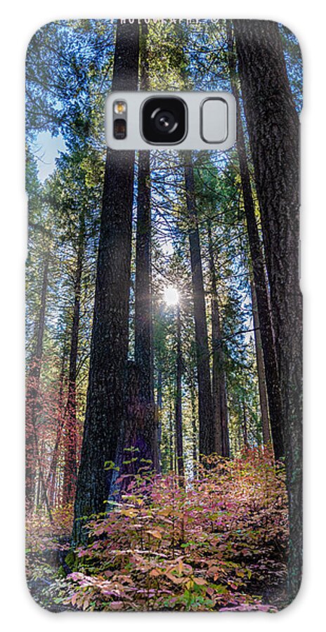 Forest Galaxy Case featuring the photograph A Forest of Pink by Devin Wilson