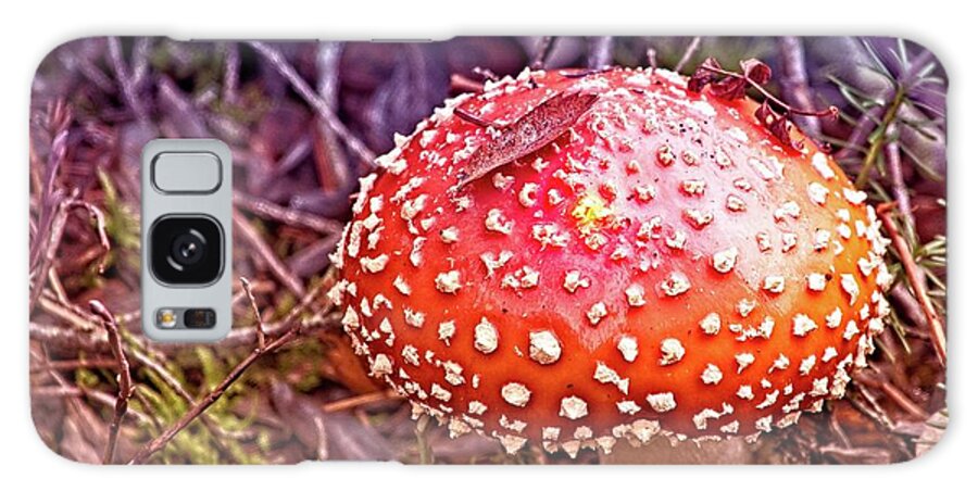 Amanita Muscaria Galaxy Case featuring the photograph A Fungus Among Us by David Desautel