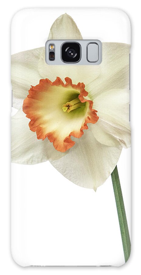 Flower Galaxy Case featuring the photograph A high key daffodil by Roman Kurywczak