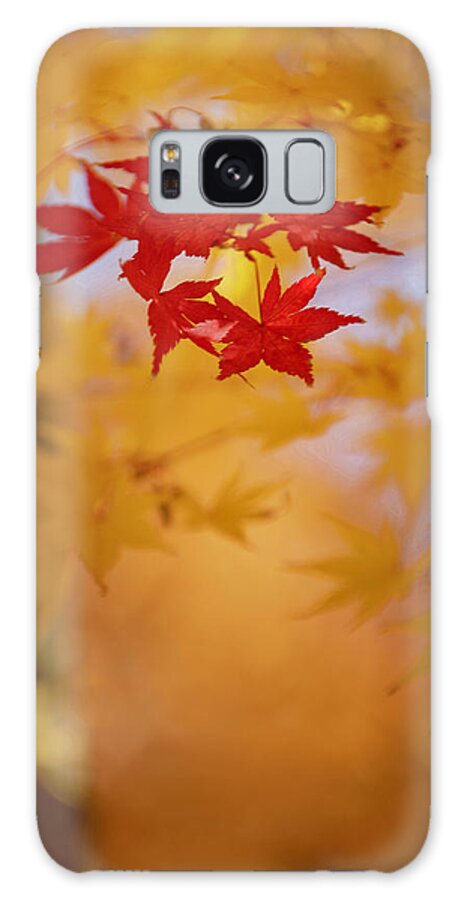 Brilliant Blooms Galaxy Case featuring the photograph A Hint of Red by Paul Mangold