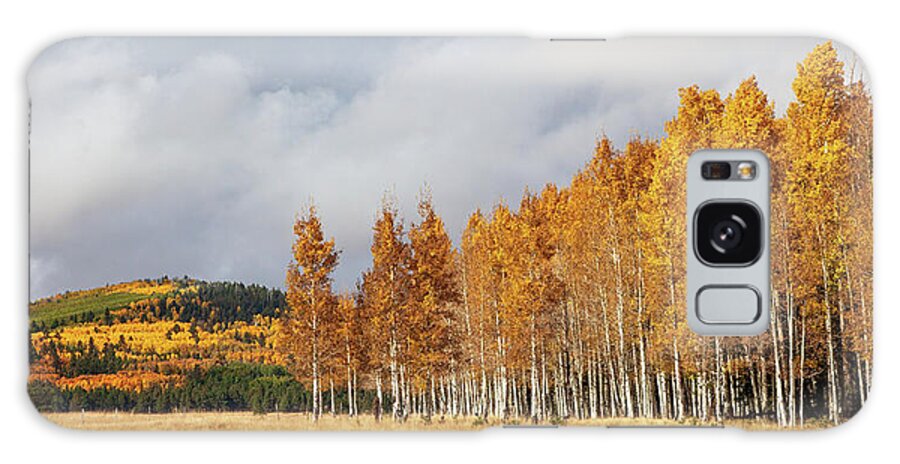 Art Galaxy Case featuring the photograph A Moment Of Autumn Glory by Rick Furmanek
