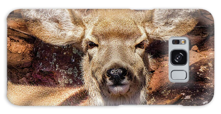 Deer Galaxy Case featuring the photograph A Mule Deer by Laura Putman