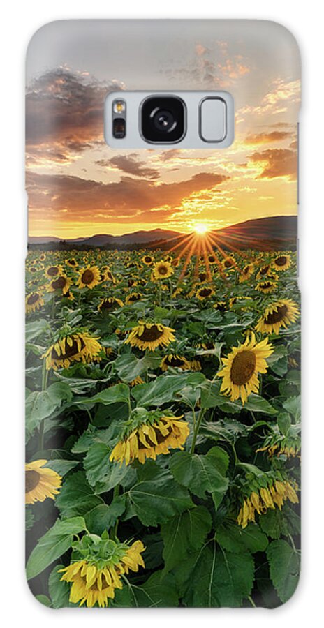 #sunflowers#farm#mountains#maine#landscape#sunset#summer#clouds Galaxy Case featuring the photograph A Ray of Hope by Darylann Leonard Photography