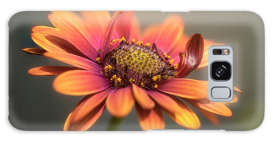 Spring Galaxy Case featuring the photograph A Sign Of Spring 24 by Robert Fawcett
