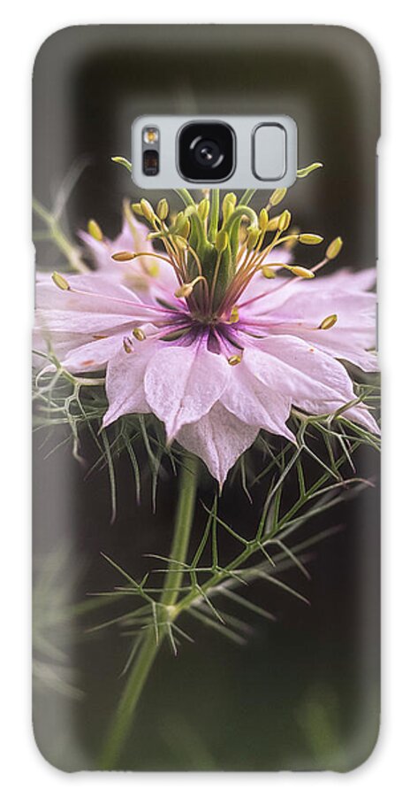Spring Galaxy Case featuring the photograph A Sign Of Spring 47 by Robert Fawcett
