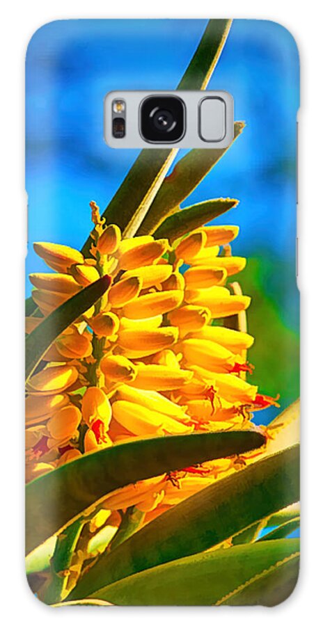 Cactus Galaxy Case featuring the photograph A study in yellow, green and blue - cactus flower near Phoenix AZ by Frank Lee