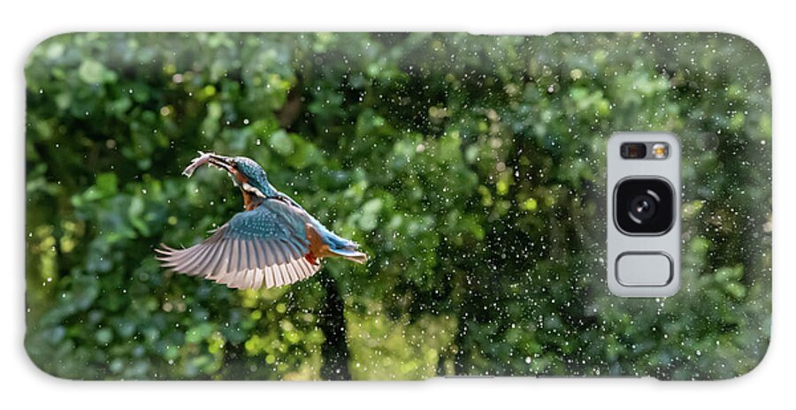 Kingfisher Galaxy Case featuring the photograph A Successful Catch by Mark Hunter