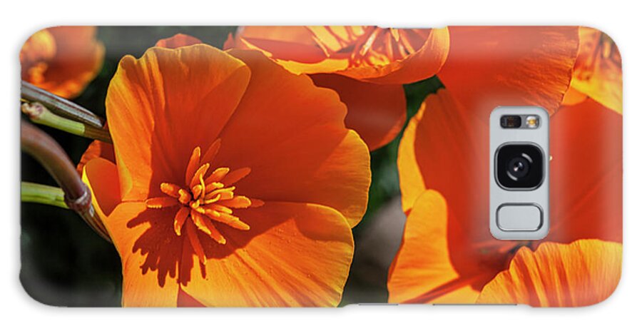 Poppy Galaxy Case featuring the photograph A Touch of Orange by Ryan Huebel