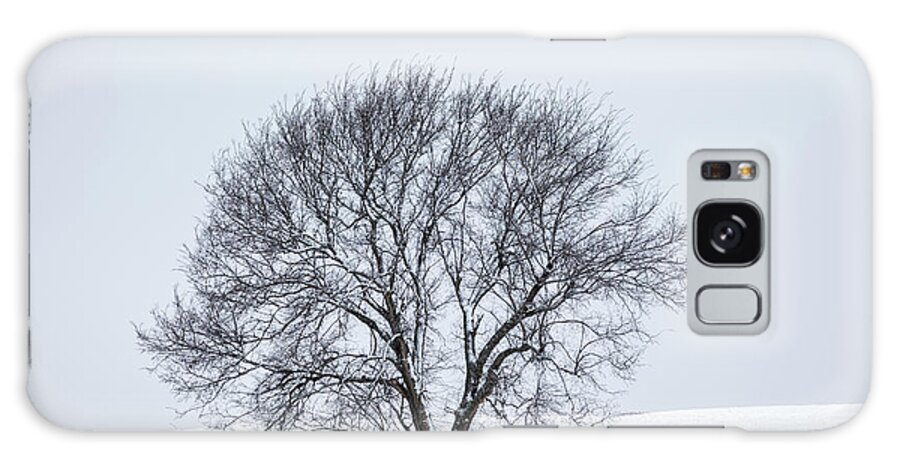 Clay Galaxy Case featuring the photograph A Winter Tree by Scott Bean