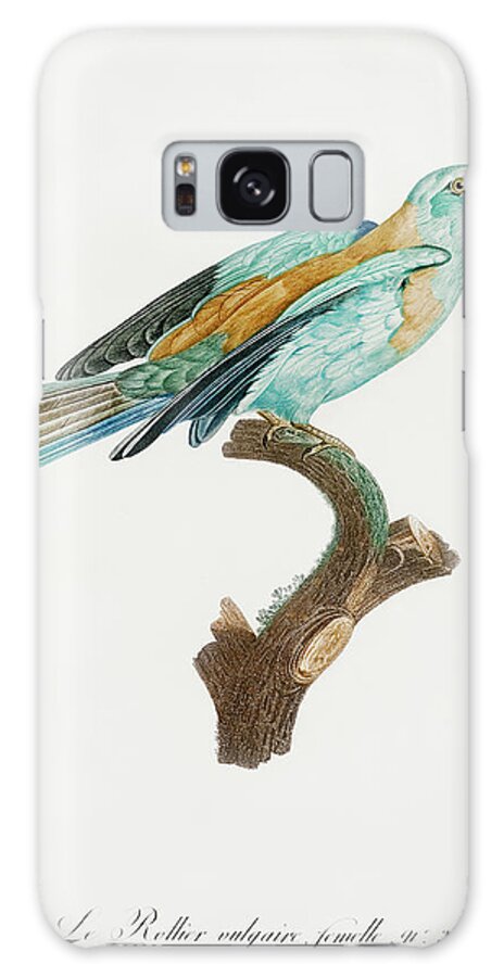 Abyssinian Roller Galaxy Case featuring the digital art Abyssinian Roller 02 - Vintage Bird Illustration - Birds Of Paradise - Jacques Barraband by Studio Grafiikka