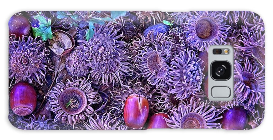 Abstract Galaxy Case featuring the digital art Acorns, Pods, And Seeds by David Desautel