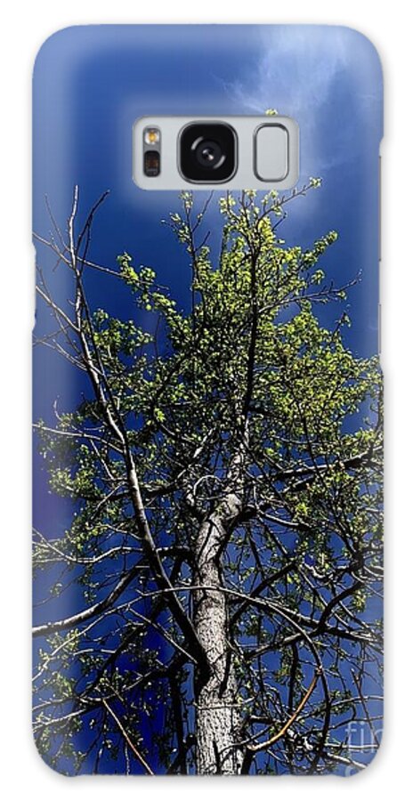 Tree Galaxy Case featuring the photograph Adoretum by Tiesa Wesen
