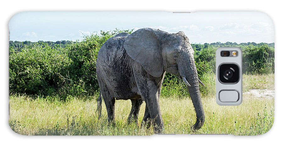 African Elephant Galaxy Case featuring the photograph Africa--African Elephant 03 by Judy Tomlinson
