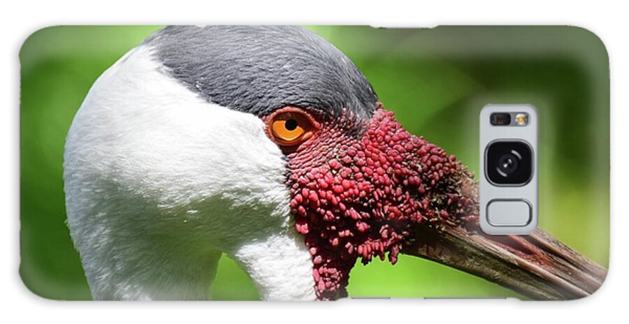Bird Galaxy Case featuring the photograph African Crane by Ed Stokes