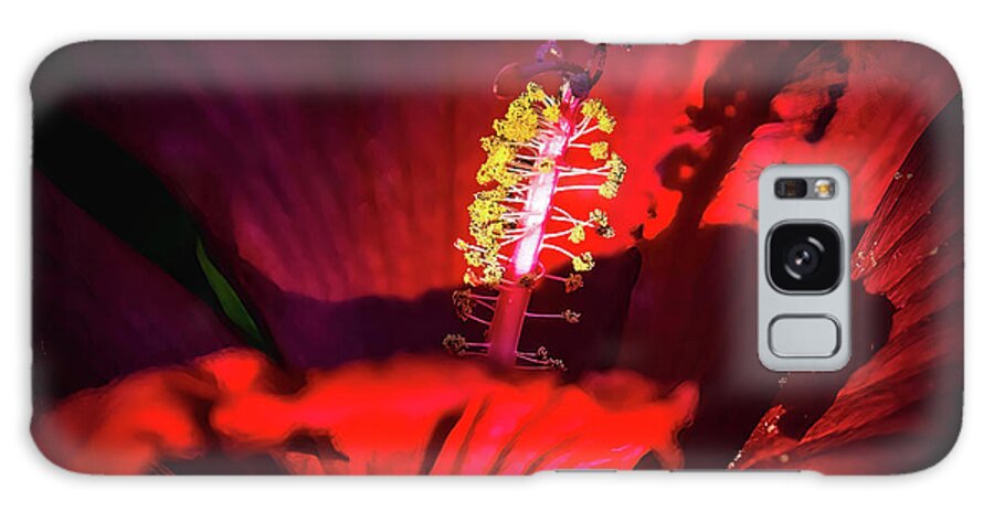 Red Galaxy Case featuring the photograph All Red by Pam Rendall