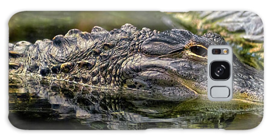 Alligator Nc Aquarium Galaxy Case featuring the photograph Alligator mississippiensis by Greg Reed