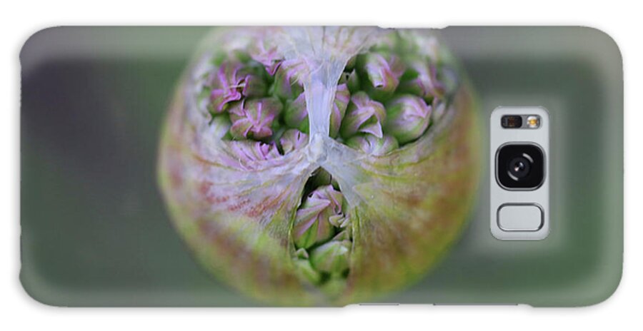  Galaxy S8 Case featuring the photograph Allium Covid Flower by Tammy Pool