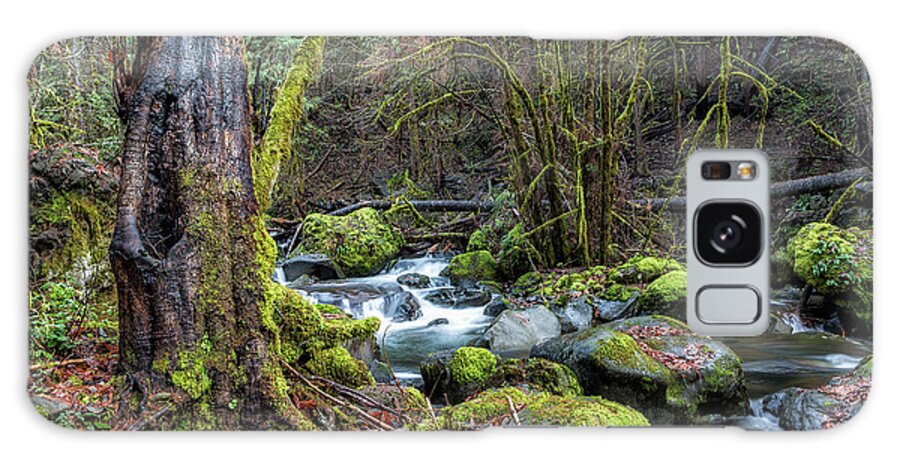French Pete Creek Galaxy Case featuring the photograph Alongside the French Pete Creek by Belinda Greb