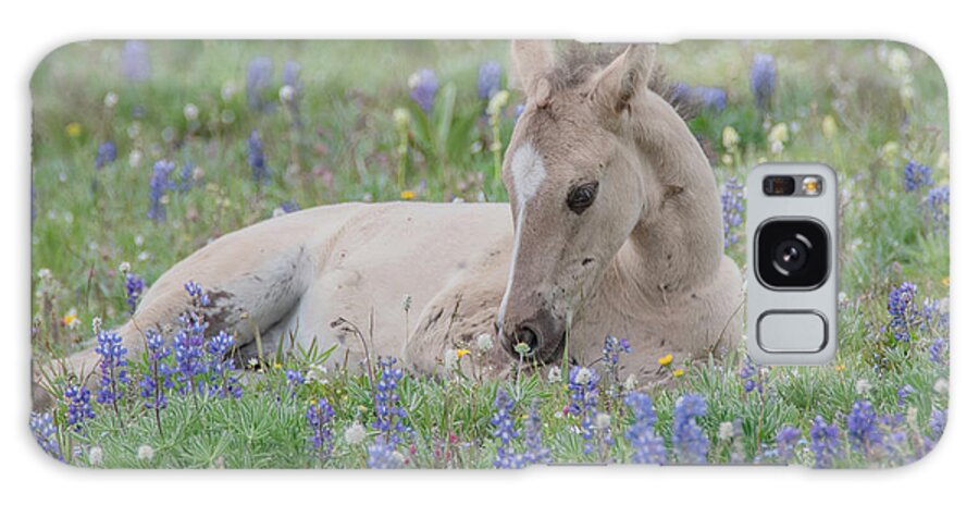 Wild Mustangs Galaxy Case featuring the photograph Alpine Spring Meadow by Marcy Wielfaert