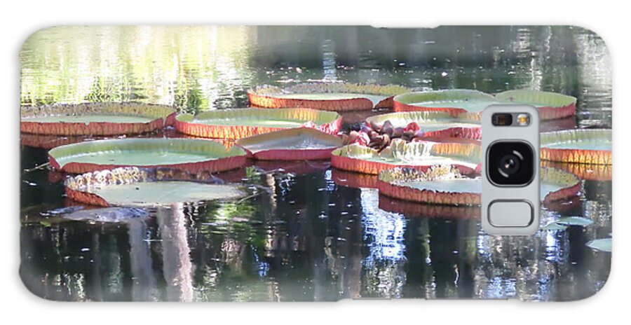 Amazon Water Lily Galaxy Case featuring the photograph Amazon Water Lilies by World Reflections By Sharon