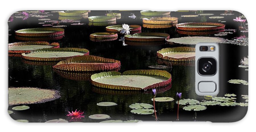 Amazon Water-lily Galaxy S8 Case featuring the photograph Amazon Water Lily by Mingming Jiang