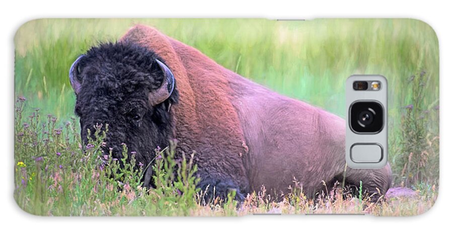 Fine Art Galaxy Case featuring the photograph American Buffalo by Greg Sigrist