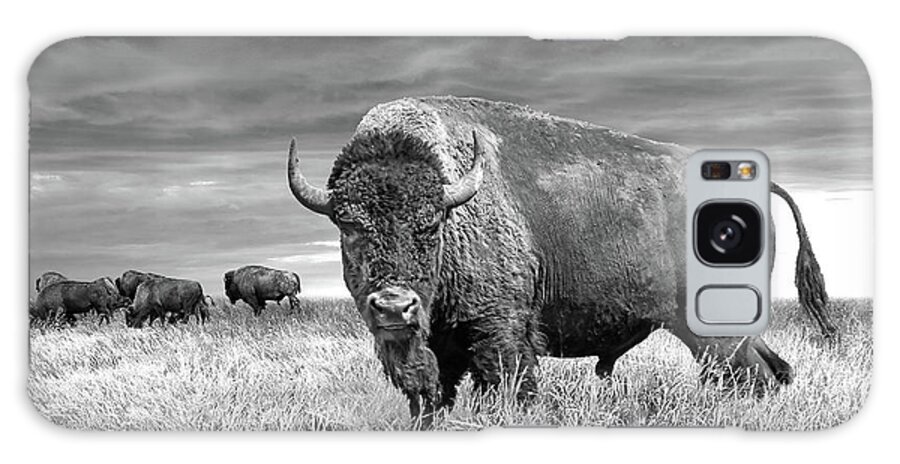 Animal Galaxy Case featuring the photograph American Plains Bison Herd on the Prairie in Black and White by Randall Nyhof