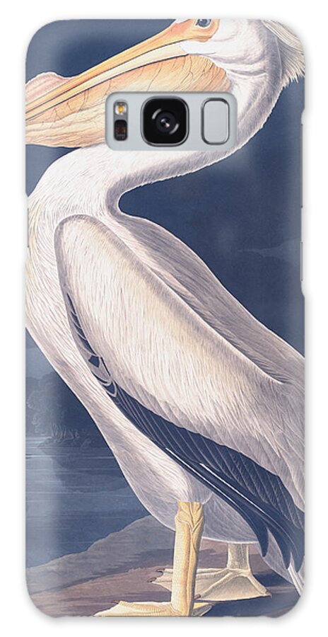 Bird Galaxy Case featuring the drawing American White Pelican by Robert Havell