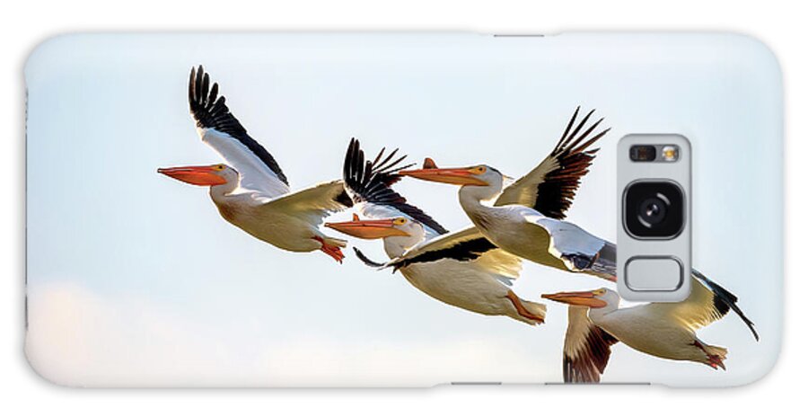 Bird Galaxy Case featuring the photograph American White Pelicans by Al Mueller