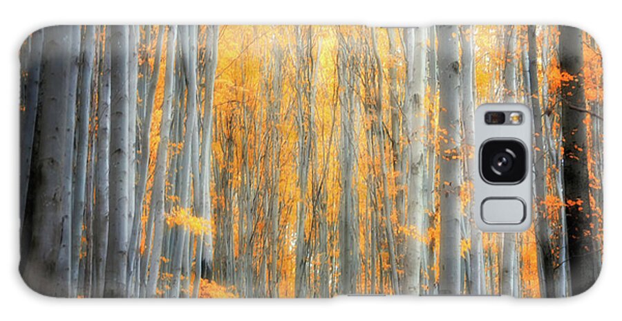 Autumn Galaxy Case featuring the photograph An Autumn in the Forest by Philippe Sainte-Laudy