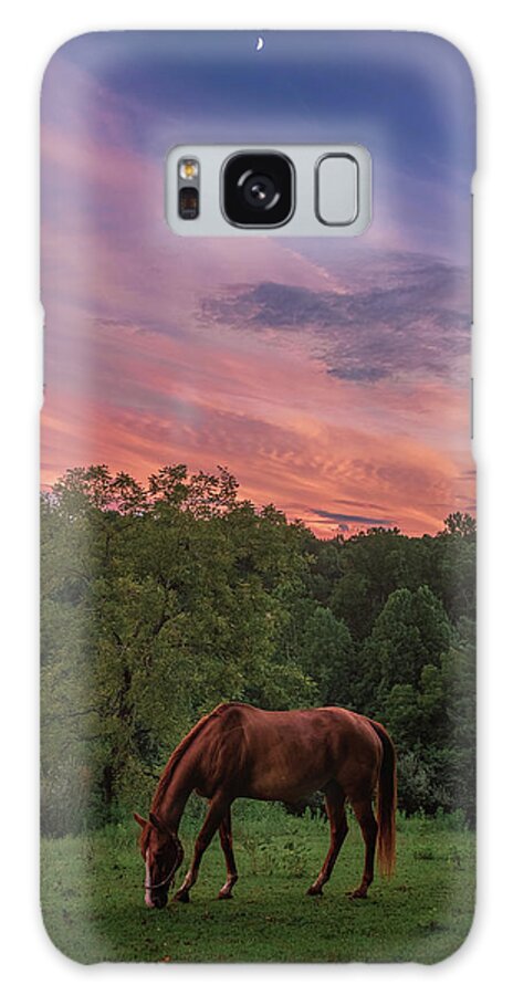 Landscape Galaxy Case featuring the photograph An Equine Sunset by Tricia Louque
