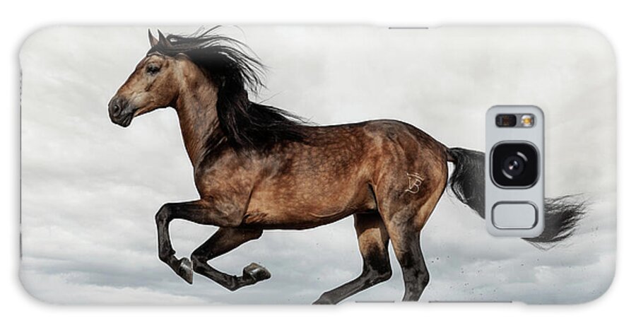 Andalusian Buckskin On The Ridge Galaxy Case featuring the photograph Andalusian Buckskin on the Ridge by Wes and Dotty Weber