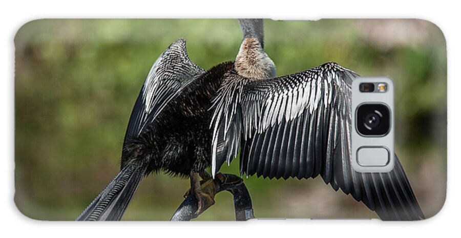 Anhinga Galaxy Case featuring the photograph Anhinga by Garth Steger