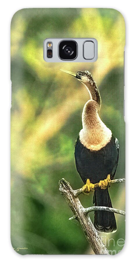 Bird Galaxy Case featuring the photograph Anhinga Time by Marvin Spates