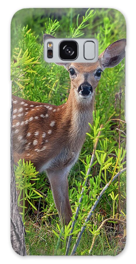 Wildlife Galaxy Case featuring the photograph Are You Coming? by Louise Lindsay