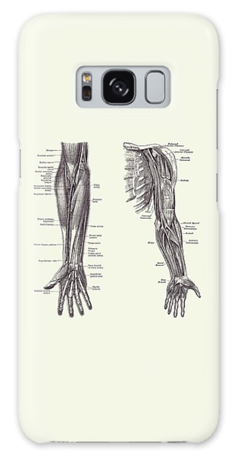 Arm Anatomy Galaxy Case featuring the drawing Arm and Hand Diagram - Dual View - Vintage Anatomy 2 by Vintage Anatomy Prints