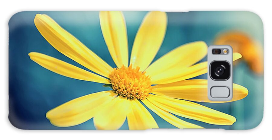 Alpine Galaxy Case featuring the photograph Arnica Montana by Manjik Pictures