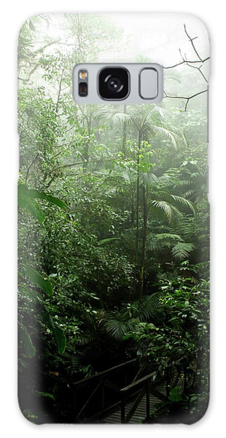 Rainforest Galaxy Case featuring the photograph Into the Cloud Forest by Nicklas Gustafsson