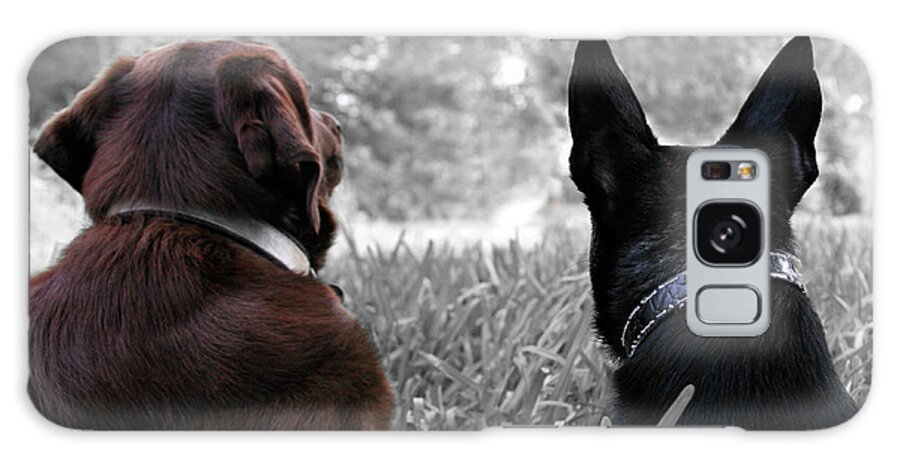 Dogs Galaxy Case featuring the photograph Always waiting for you by Renee Spade Photography