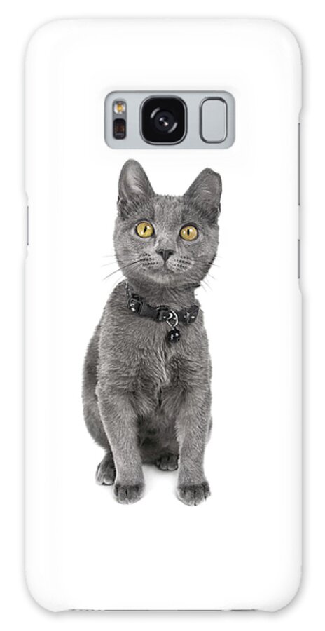 Cat Galaxy Case featuring the photograph Blue Kitty Kat Joy by Renee Spade Photography