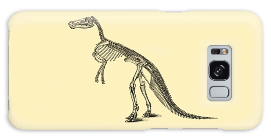 Skeleton Galaxy Case featuring the digital art Claosaurus Anatomy by Madame Memento