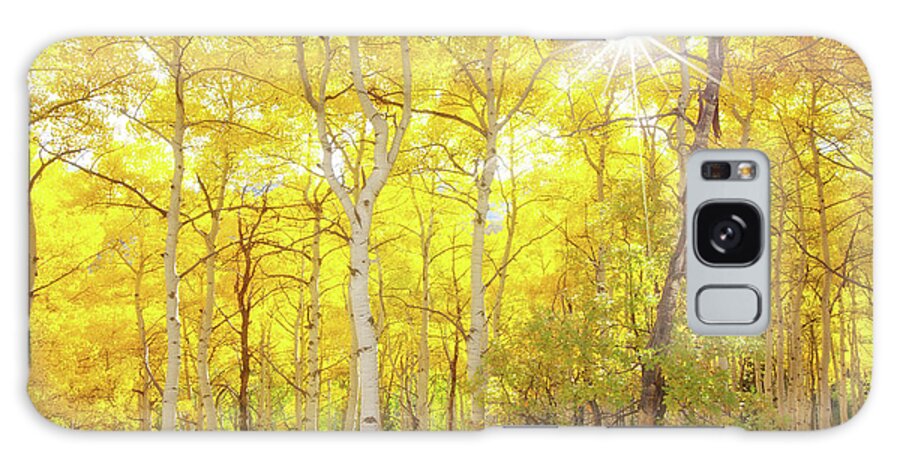 Aspens Galaxy Case featuring the photograph Aspen Morning by Darren White