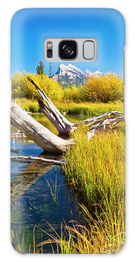 Canada Galaxy Case featuring the photograph Autumn colours at Vermillion lakes, Banff national park, Alberta, Canada by Neale And Judith Clark