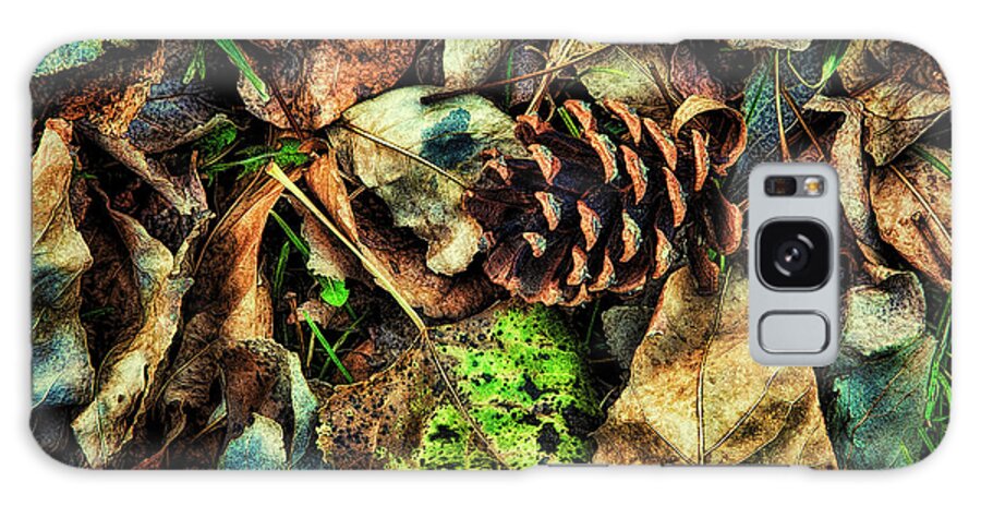 Pinecone Galaxy Case featuring the photograph Autumn Gathering by Steve Sullivan
