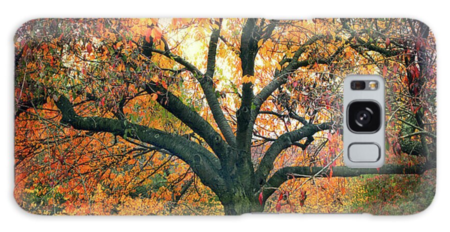 Autumn Galaxy Case featuring the photograph Autumn Glory by Jessica Jenney