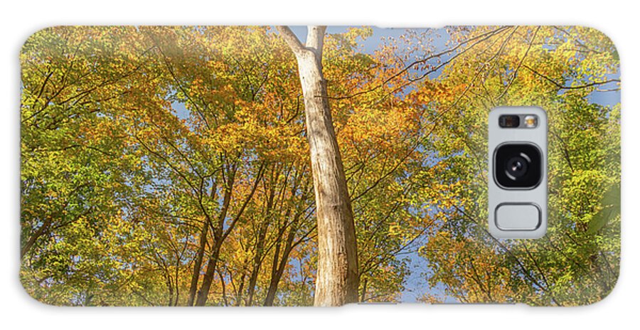 Fall Galaxy Case featuring the photograph Autumn in Hudson Highlands State Park by Auden Johnson