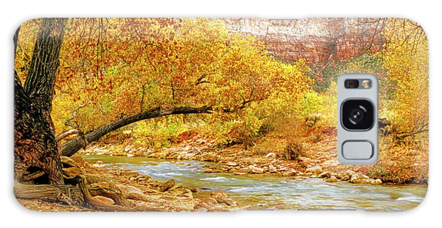 Usa Galaxy Case featuring the photograph Autumn In Zion by Randy Bradley