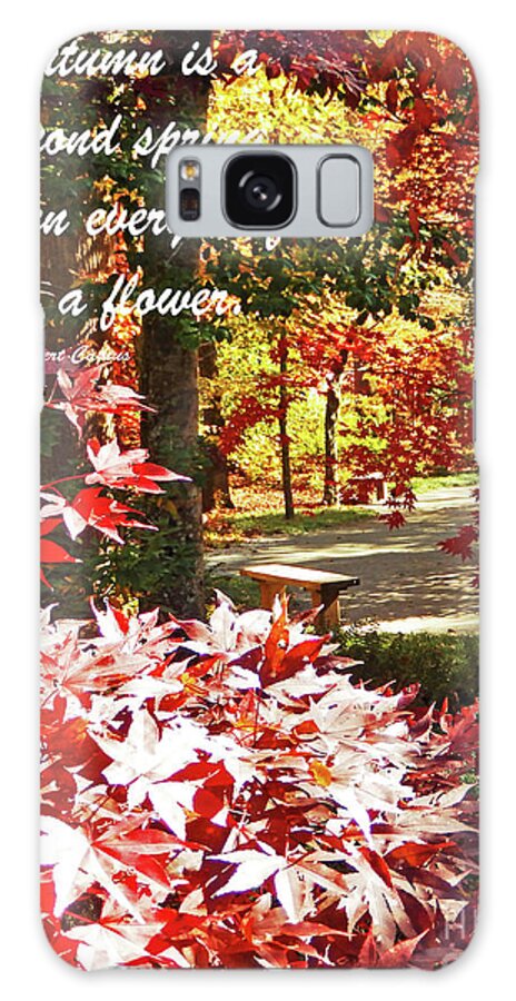 Landscape Galaxy Case featuring the photograph Autumn is a Second Spring Poster by Sharon Williams Eng