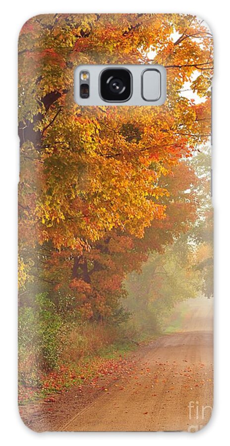 Autumn Galaxy Case featuring the photograph Autumn is a Verb by Terri Gostola
