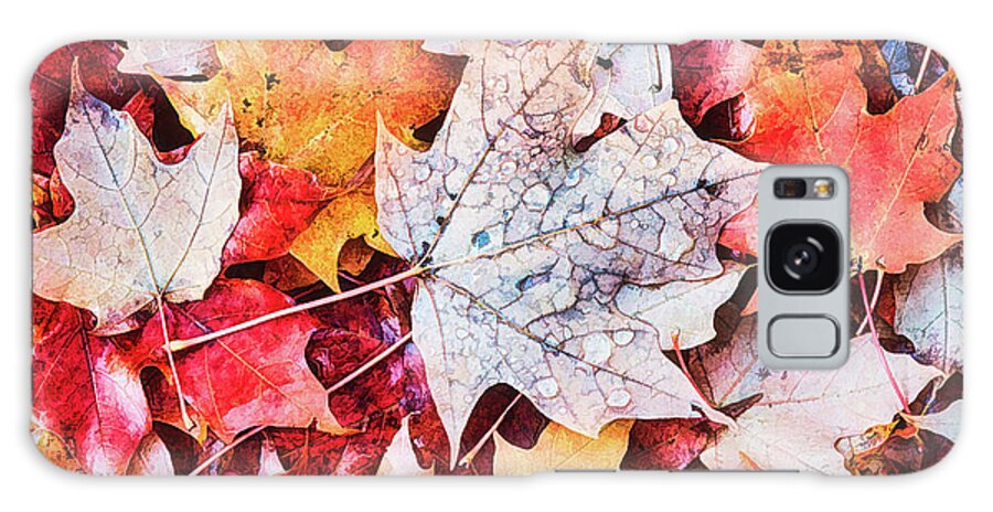 Autumn Galaxy Case featuring the photograph Autumn Leaves Abstract by Gary Slawsky